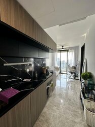 Irwell Hill Residences (D9), Apartment #455791671